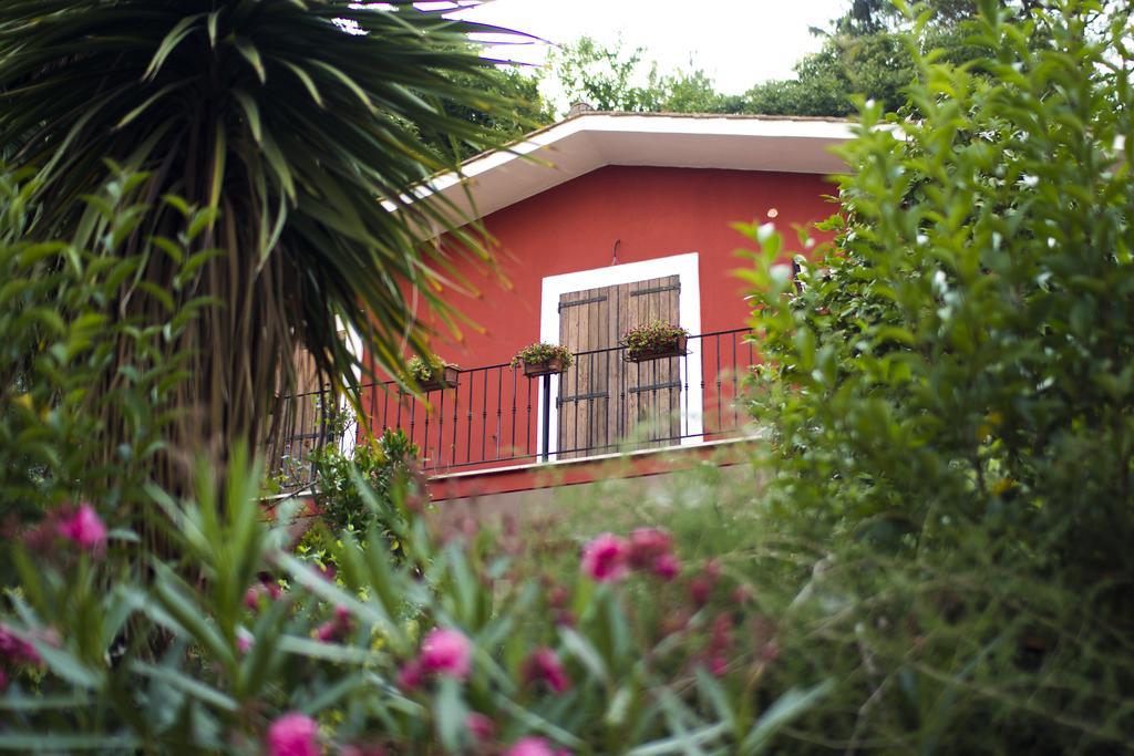 B&B Il Giardino Delle Camelie Palestrina Exterior foto