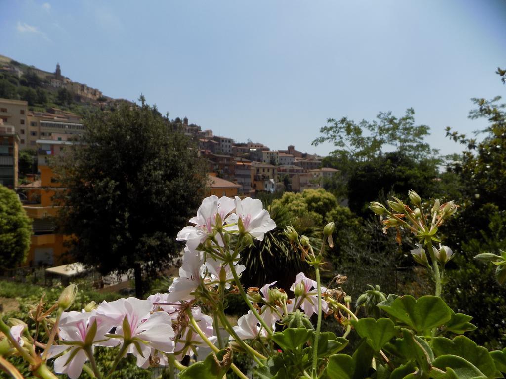 B&B Il Giardino Delle Camelie Palestrina Exterior foto