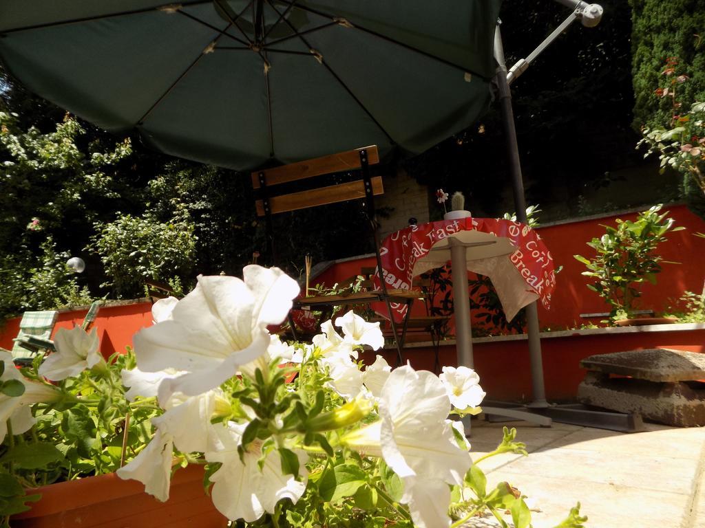B&B Il Giardino Delle Camelie Palestrina Exterior foto