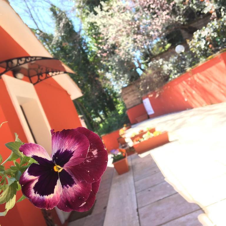 B&B Il Giardino Delle Camelie Palestrina Exterior foto