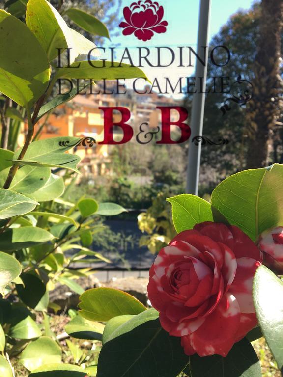B&B Il Giardino Delle Camelie Palestrina Exterior foto