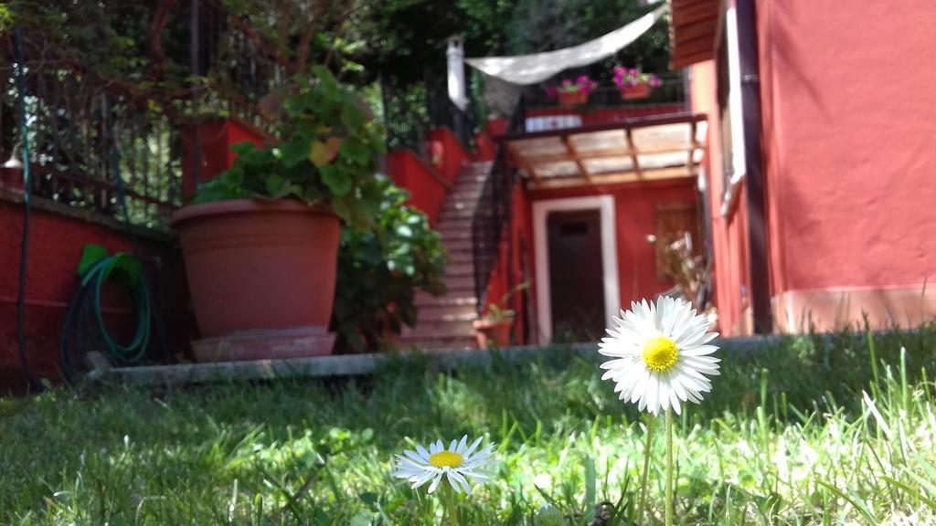 B&B Il Giardino Delle Camelie Palestrina Exterior foto