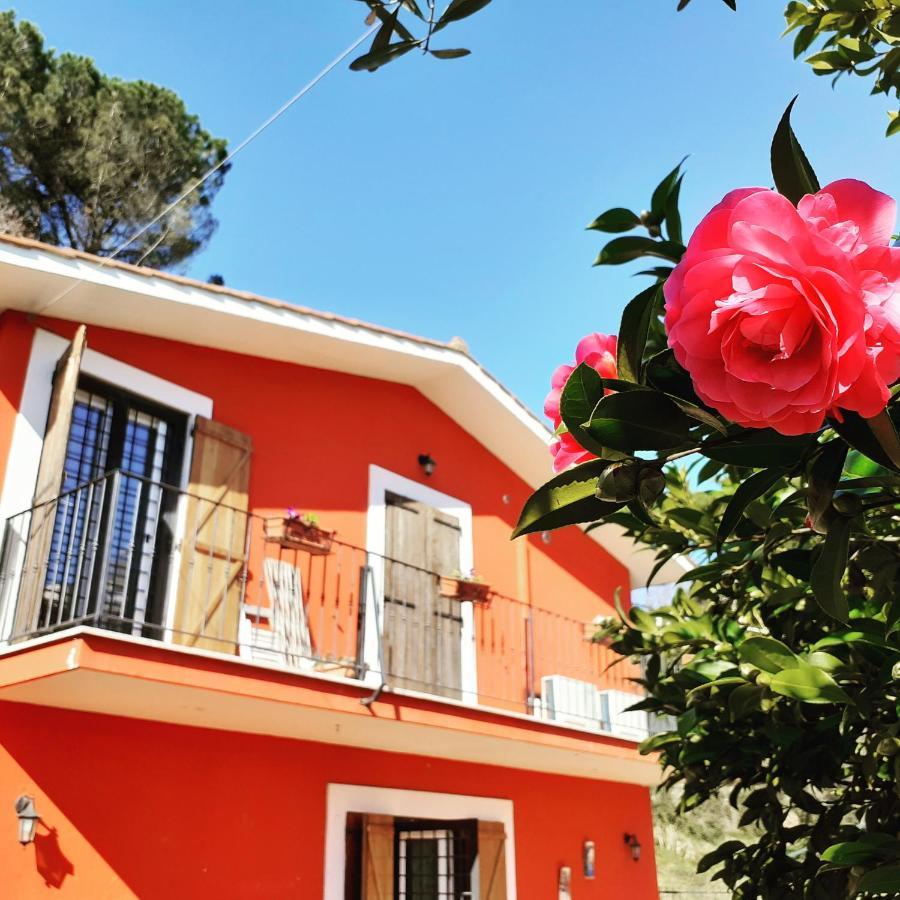 B&B Il Giardino Delle Camelie Palestrina Exterior foto